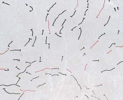 プレーンコンクリート