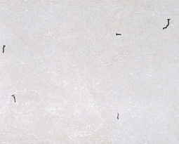 スーパークラックノン添加コンクリート